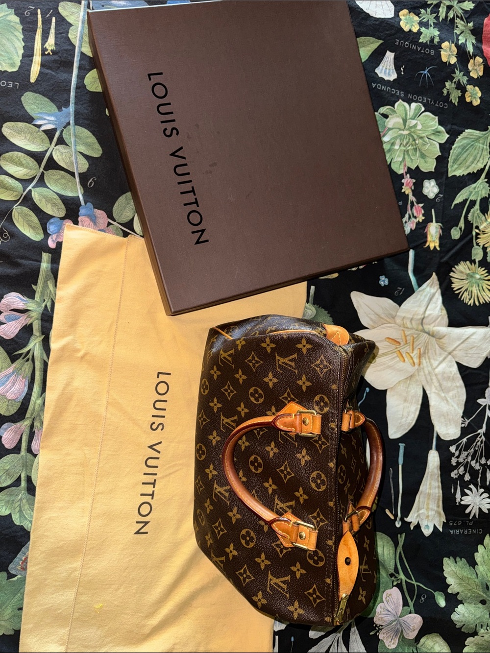 Louis Vuitton Monogram Top-Handle Speedy 30 in Brown and Tan